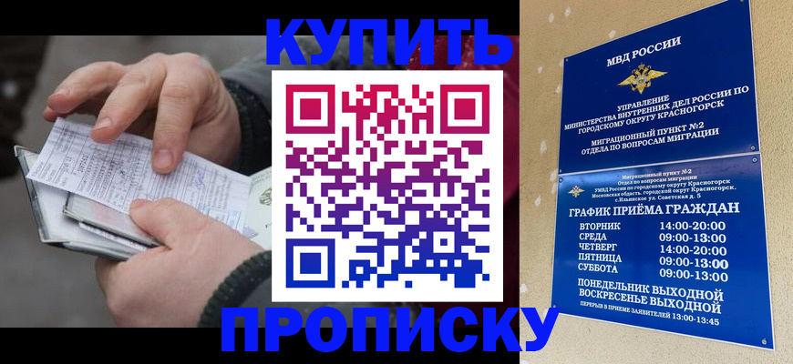 временная регистрация недорого в Кингисеппе